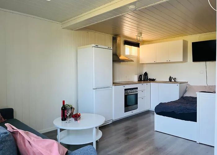 Leilighet Liten,koselig Studieleilighet I Rolige Omgivelser